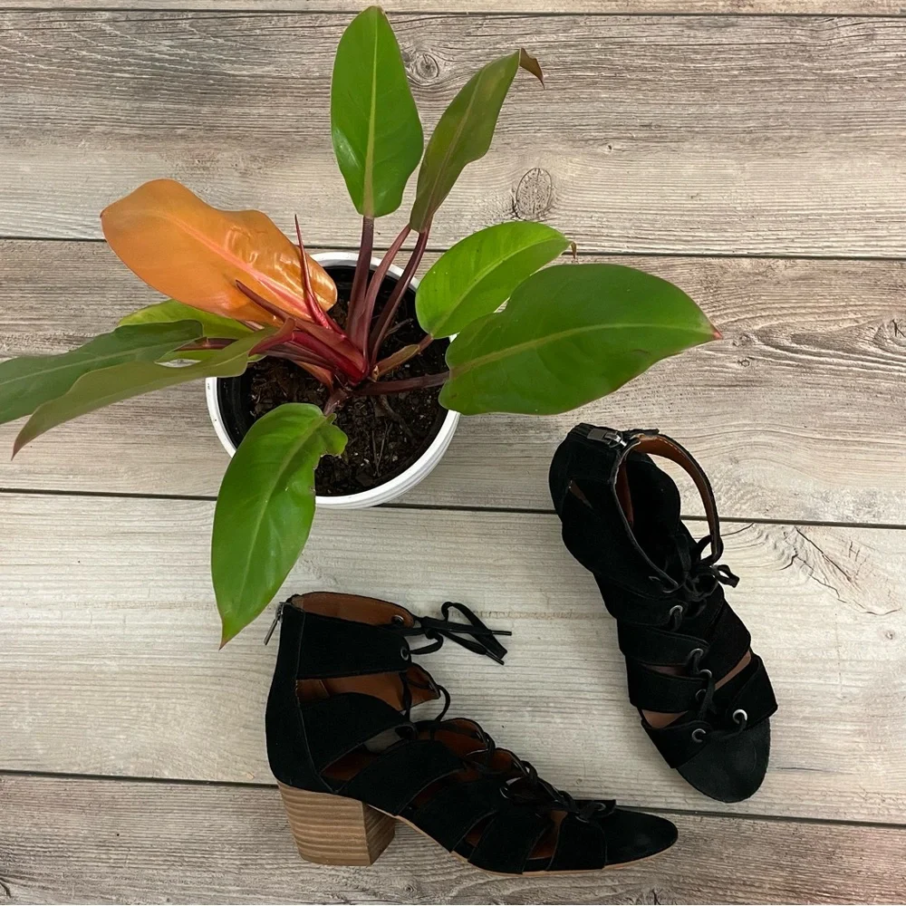Lucky Brand Genevie Leather Lace Up Open Toe Block Heel Sandals‎